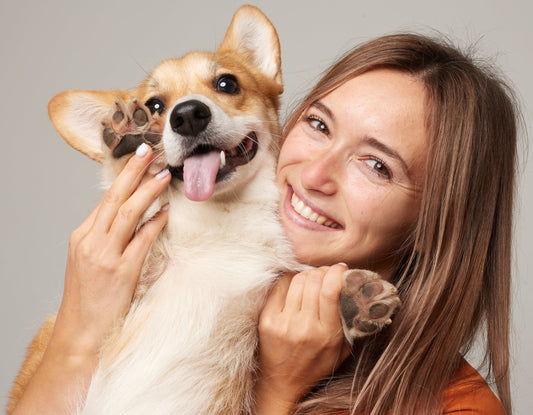 Mussels That Move: Boosting Your Pet’s Mobility Naturally