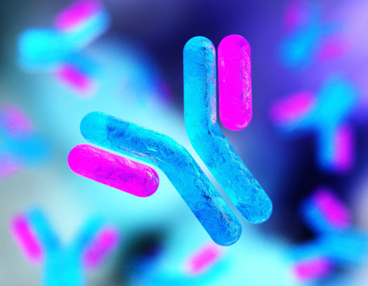 Understanding Immunoglobulin G (IgG): The Immune Powerhouse in Colostrum