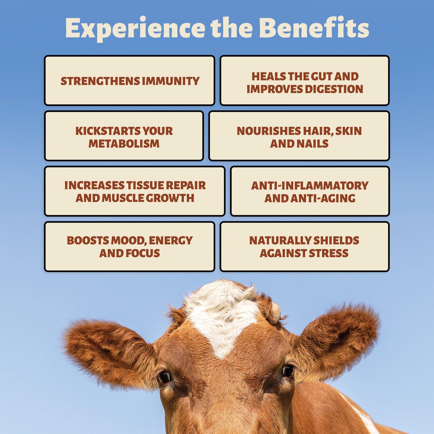 Colostrum Power Pack