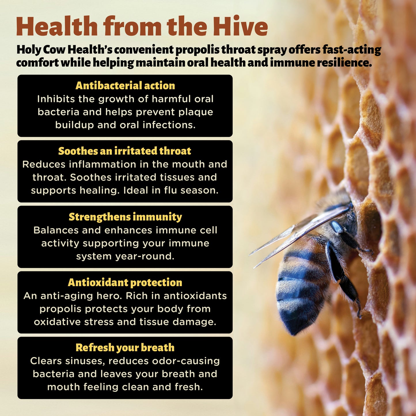 Colostrum & Propolis Manuka Throat Spray Health Pack
