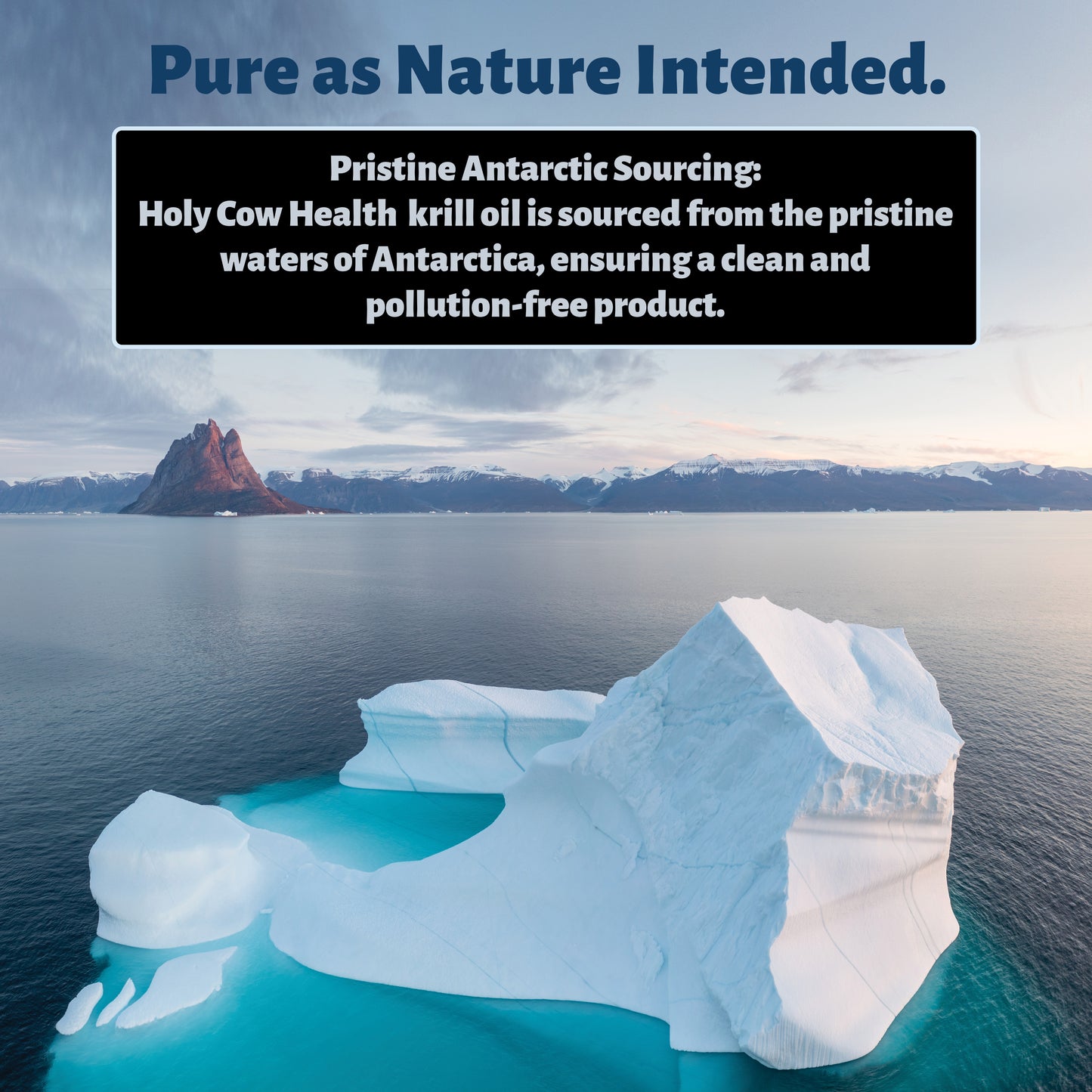 Omega-3 Antarctic Red Krill Oil