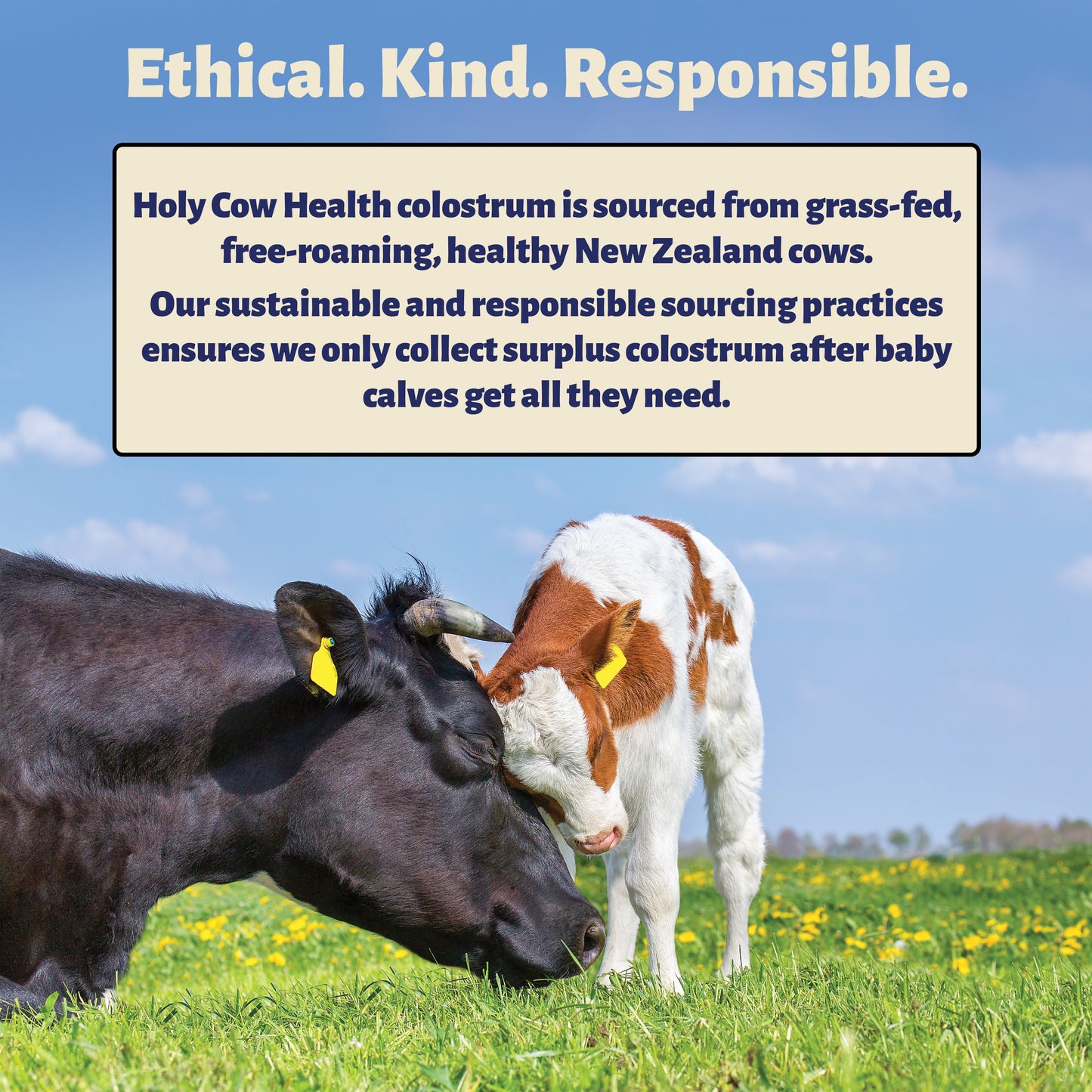 Colostrum Power Pack