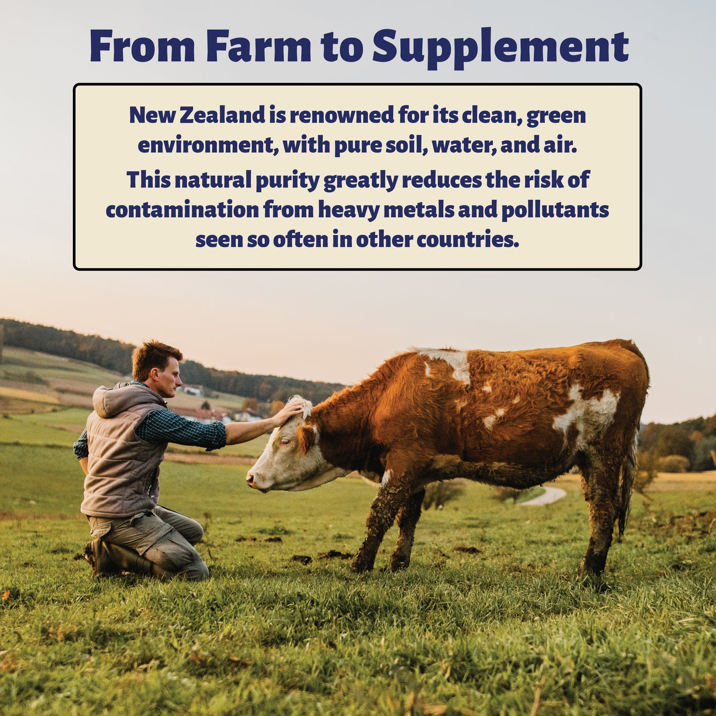Colostrum Capsules & Bee Pollen Bundle