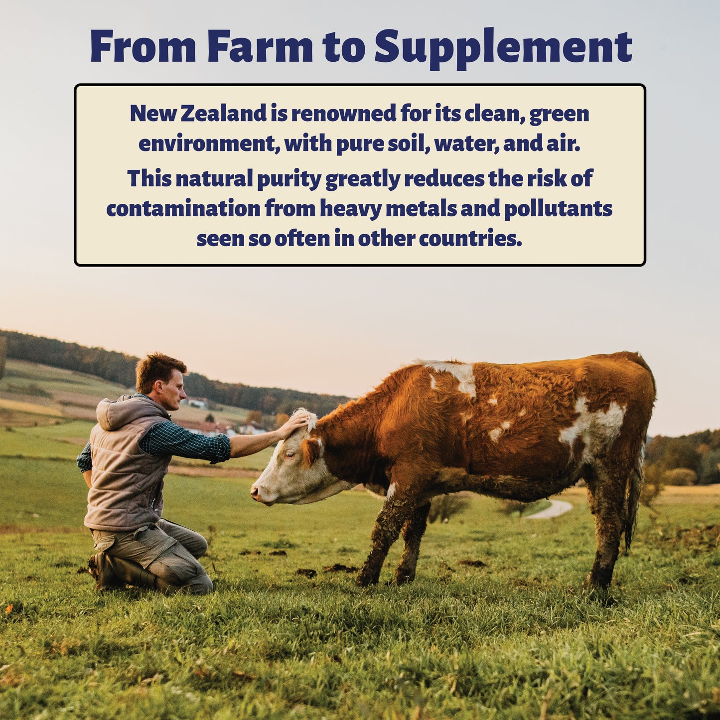 Colostrum Powder