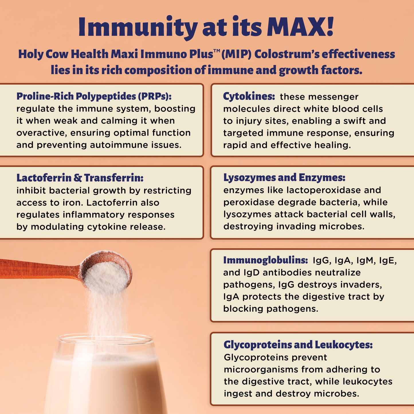 Colostrum Powder