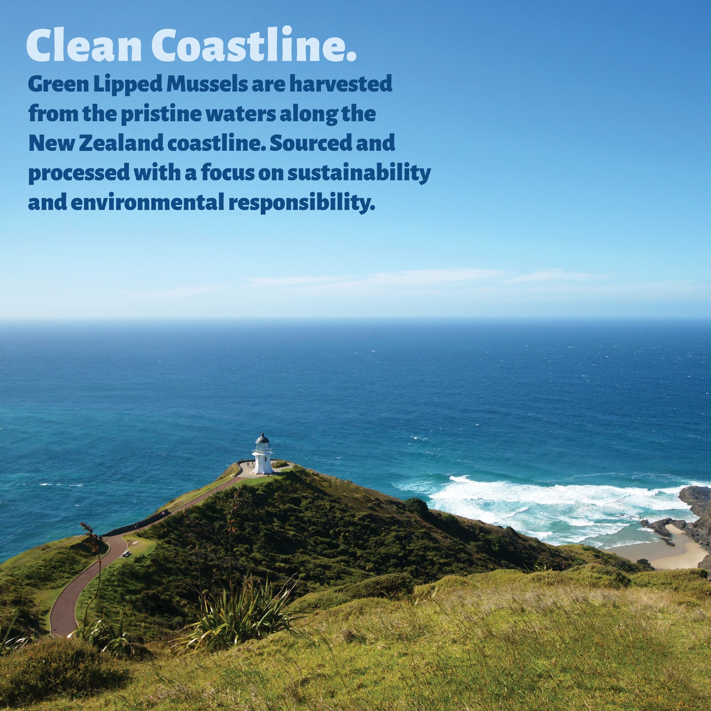 Green Lipped Mussel Capsules