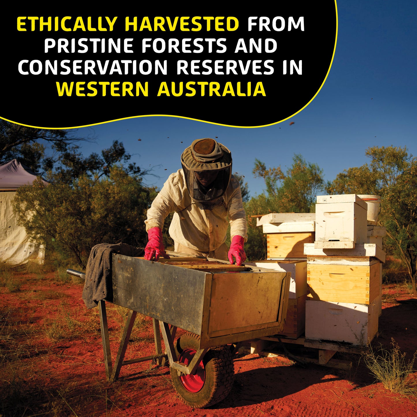 Colostrum Capsules & Bee Pollen Bundle