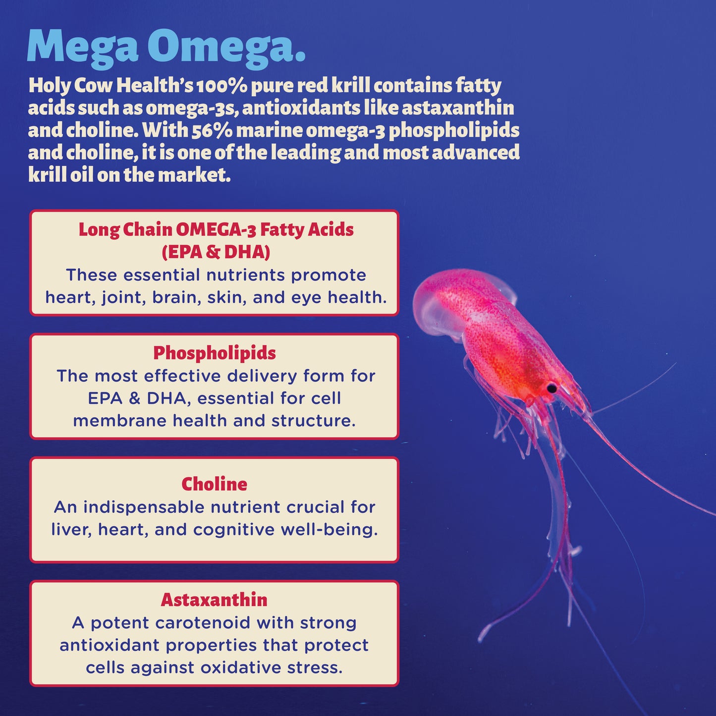 Omega-3 Antarctic Red Krill Oil