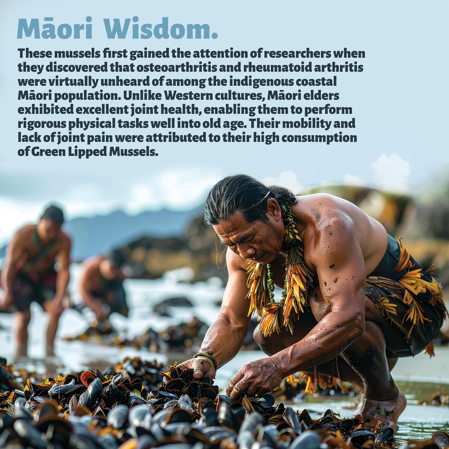 Green Lipped Mussel Capsules