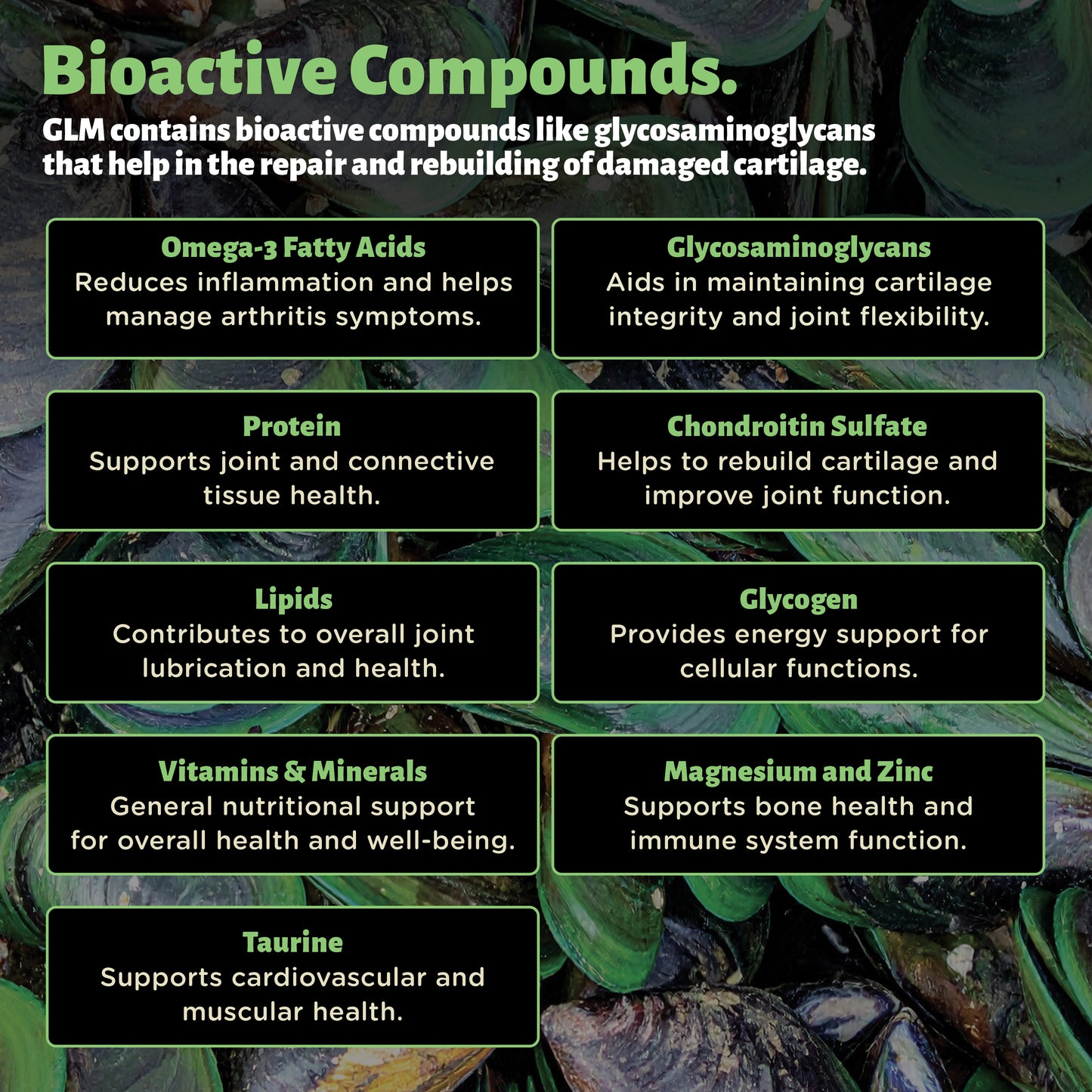 Green Lipped Mussel Capsules