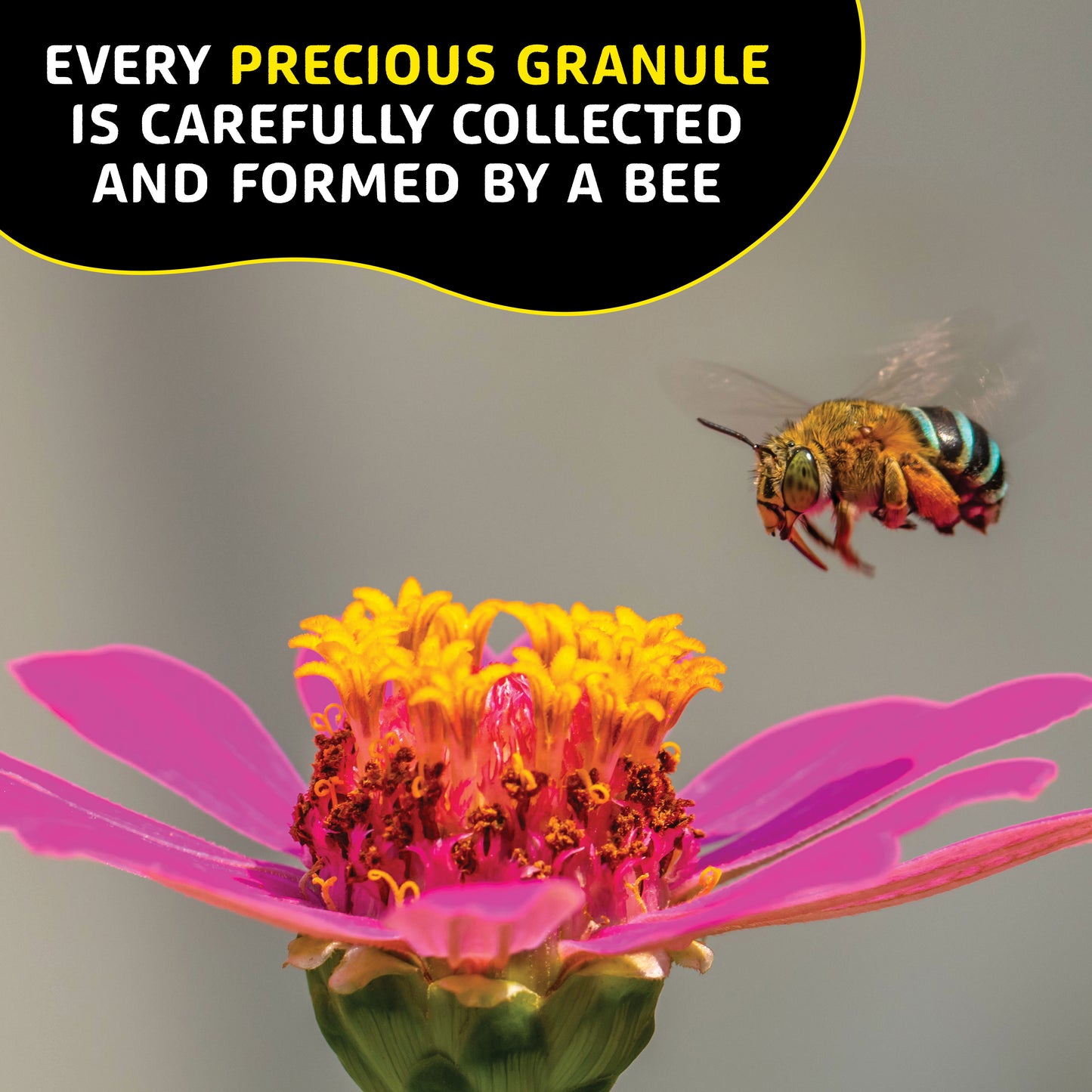 Colostrum Capsules & Bee Pollen Bundle